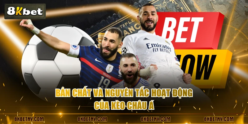 Cách Đọc Kèo Châu Á Và Kinh Nghiệm Chuẩn Từ Chuyên Gia 2 Bản chất và nguyên tắc hoạt động của kèo châu Á