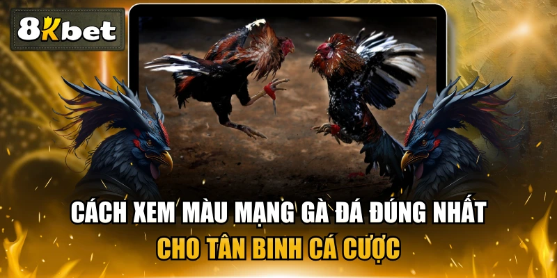 Cách Xem Màu Mạng Gà Đá Đúng Nhất Cho Tân Binh Cá Cược