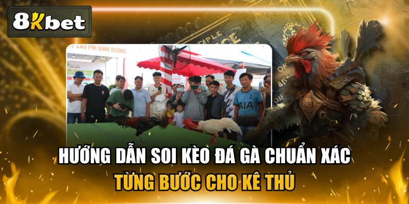 Hướng Dẫn Soi Kèo Đá Gà Chuẩn Xác Từng Bước Cho Kê Thủ 1 Hướng Dẫn Soi Kèo Đá Gà Chuẩn Xác Từng Bước Cho Kê Thủ