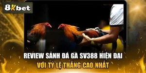 Review Sảnh Đá Gà SV388 Hiện Đại Với Tỷ Lệ Thắng Cao Nhất
